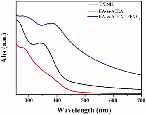 Figure 2. UV-vis spectra of TPENH2, HA-ss-ATRA and HA-ss-ATRA/TPENH2 conjugates.