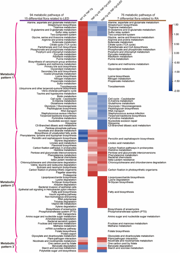 Figure 5. The effect of the gut microbiota modifications on predicted functional metabolic pathways obtained from PICRUSt2 analysis of 16S rRNA sequencing data.