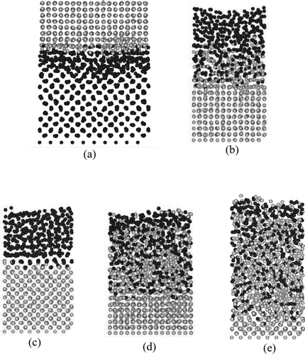 Figure 5 Distribution of atoms in the simulation of contact. Black and gray particles represent Pu and Fe atoms, respectively. (a) Case 1 (T = 800 K, t = 8000 ps), (b) Case 2A (T = 1100 K, t = 8000 ps), (c) Case 2B (T = 1100 K, t = 2000 ps), (d) Case 3 (T = 1400 K, t = 4000 ps) and (e) Case 4 (T = 1700 K, t = 2000 ps)