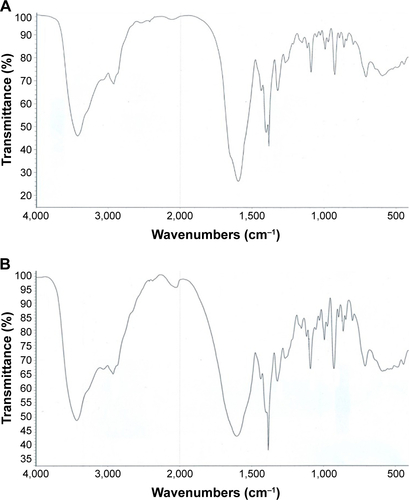 Figure S1 FT-IR spectra of biotinylated PDG (A) and VPDG (B).Notes: Biotinylated PDG: FT-IR (ATR, cm−1): 3425 (NH/OH), 2927 (carboxyl group, –OH), 1595, 1404 (carboxyl group, C=H), 1642 (amide I, –CONH–). VPDG: FT-IR (ATR, cm−1): 3430 (NH/OH), 2925 (carboxyl group, –OH), 2042 (–C=C–), 1603, 1406 (carboxyl group, C=H), 1649 (amide I, –CONH–).Abbreviations: FT-IR, Fourier transform infrared spectroscopy; Gd, gadolinium; PDG, poly (L-lysine)-diethylene triamine pentacetate acid-Gd; VPDG, vascular endothelial growth factor receptor-targeted poly (L-lysine)-diethylene triamine pentacetate acid-Gd.
