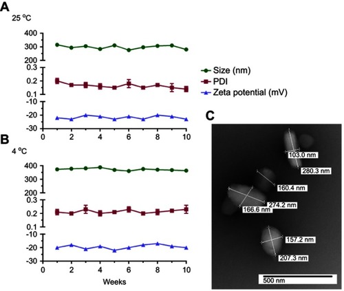 Figure 2 Nanoformulation characteristics. NMFTC was synthesized by high-pressure homogenization using P407 as excipient. NMFTC stability was assessed for up to 10 weeks at (A) 25°C, and (B) 4°C in terms of particle size, PDI, and zeta potential (mean±SD, n=3). (C) The size and morphology of NMFTC was assessed by TEM.Abbreviations: NMFTC, nanoparticle of modified FTC prodrug; PDI, polydispersity index; TEM, transmission electron microscopy.