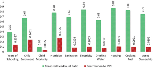 Figure 7. Censored headcount ratios and contributions of indicators to MPI.