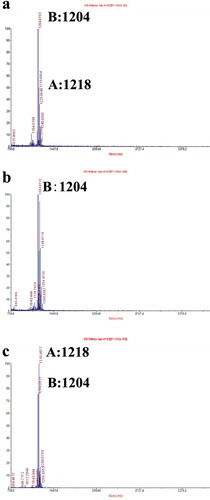 Fig. 4 (Colour online) Determination of leucinostatins from P. lilacinus strains. Leucinostatin production of P. lilacinus 36-1 and its transformants was determined by MALDI-TOF MS. Leucinostatin A molecular weight: 1218. Leucinostatin B molecular weight: 1204. a, The metabolites of the WT strain P. lilacinus 36-1. b, The metabolites of the knockout strain ΔrolP. c, The metabolites of the overexpressed strain Ov-Pl36-1.