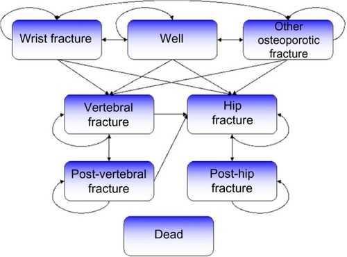 Figure 1 Markov model used to represent the possible health state transitions of Spanish women with postmenopausal osteoporosis.