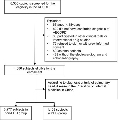 Figure 1 Flow chart of obtaining the study population.