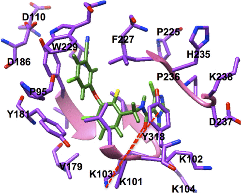 Figure S1 Two key binding interactions exist between GSK952 and the backbone NH and C=O groups of Lys103 of HIV-1 RT.