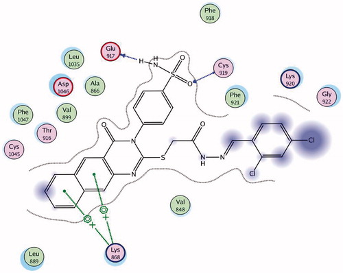 Figure 9. 2D interaction of compound 9 inside the active site of 3U6J.