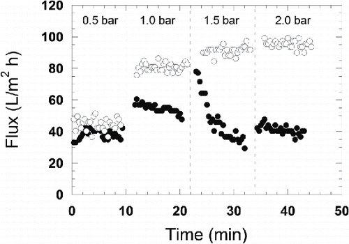 FIGURE 1 Influence of pressure on flux during UF of process water (•) and MF permeate (o).