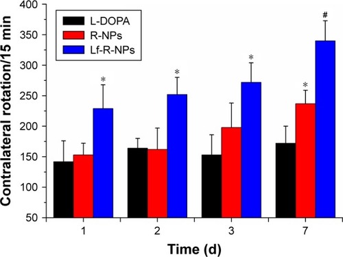 Figure 3 Contralateral rotations of PD rats every 15 minutes in the L-DOPA, R-NPs, and Lf-R-NPs groups.Notes: *P<0.05 compared with L-DOPA group. #P<0.05 compared with R-NPs group.Abbreviations: L-DOPA, levodopa; Lf-R-NPs, lactoferrin-modified rotigotine nanoparticles; PD, Parkinson’s disease; R-NPs, rotigotine nanoparticles.