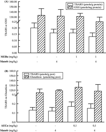 Figure 4. Liver TBARS and GSH levels after treatment of male rats with MEBa (A)/AECa (B) and/or maneb. The first batch of male rats was administered MEBa and/or 2% SS for 30 days (A), while the second batch received AECa and/or distilled water for 60 days (B). Maneb and 0.9% NaCl were administered during the 18 last days of the experiment. The levels of thiobarbituric acid reactive substances (TBARS) and glutathione (GSH) are expressed as mean ± SD of five animals.