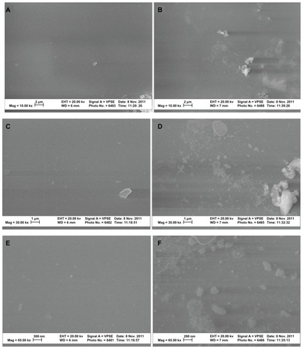 Figure 2 SEM images of untreated PVC and NanoR PVC. Untreated PVC samples revealed a smooth surface (A, 10 KX; C, 30 KX; and E, 65 KX). On the other hand, NanoR PVC samples revealed a rough surface (B, 10 KX; D, 30 KX; and F, 65 KX).Abbreviations: NanoR, nanorough; PVC, polyvinyl chloride; SEM, scanning electron microscope.