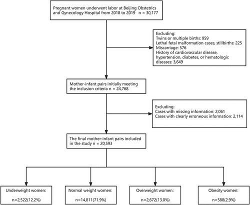 Figure 1. Flowchart of the inclusion and exclusion criteria of the study.
