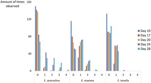 Figure 1. The number of times a specific score of Eimeria acervulina, E. maxima or E. tenella was observed at the different production days (days 10, 17, 20, 24 and 28). A higher score indicates a more severe lesion. The highest scores were observed at later time points.