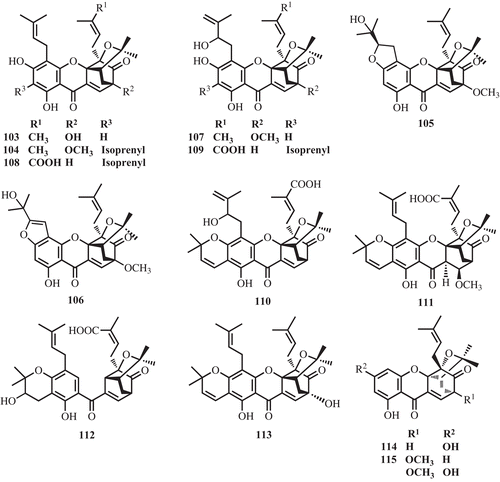 Figure 6.  Prenylated caged xanthones from G. cantleyana, G. lateriflora, G. urophylla, and Cratoxylum cochinchinense.