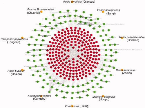 Figure 4. The general compounds-target network of SSJZF was constructed and visualised with Cytoscape visualisation software. The orange circles indicate the herbs of SSJZF. The green circles indicate the compounds in the herbs. The red circles indicate the potential targets of the compounds. SSJZF: Shen-Shi-Jiang-Zhuo formula.