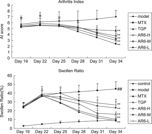 Figure 4.  AI and the effect of AR-6 on swollen ratio in CIA rats paw edema (n = 8, mean ± S.D.). ##p < 0.01 vs. control; **p < 0.01 vs. model group. AR-6 high dose (AR6-H), AR-6 middle dose (AR6-M), AR-6 low dose (AR6-L), methotrexate (MTX) and total glucosides of paeony (TGP).