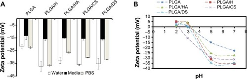 Figure 2 (A) Zeta potential measurement of glycosaminoglycan (GAG)-functionalized poly-lactide-co-glycolide (PLGA) nanoparticles (NPs) in deionized water, cell-culture medium, and phosphate-buffered saline (pH 7.4) (n=3). (B) Isoelectric point measurement of the GAG-functionalized PLGA NPs as a function of pH.Abbreviations: PLGA/CS, poly-lactide-co-glycolide functionalized with chondroitin sulfate; PLGA/DS, poly-lactide-co-glycolide functionalized with dermatan sulfate; PLGA/H, poly-lactide-co-glycolide functionalized with heparin; PLGA/HA, poly-lactide-co-glycolide functionalized with hyaluronic acid.