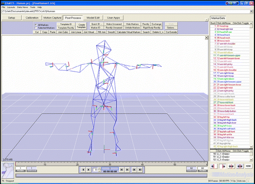 Figure 3 Coordinate systems of a human model.