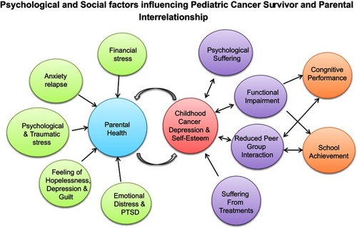 Figure 2 The psychological and social factors influencing the interrelationship between childhood cancer survivors and parents. Childhood cancer survivors can develop symptoms of depression and suffer from low self-esteem from their diagnosis and treatment regimens which can result in functional impairment. Child diagnosis in-turn affects parental health, resulting in experiencing psychological, emotional and traumatic stress - the feeling of helplessness and guilt on parent’s leads to potentiation of depression on the child survivor.