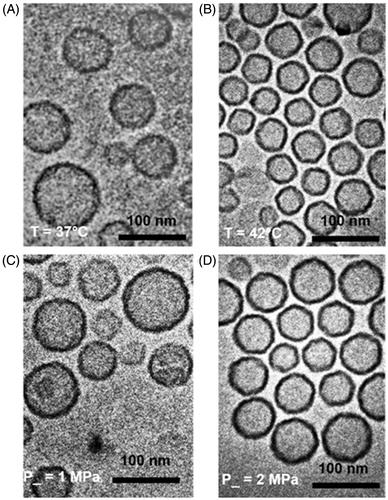 Figure 9. Cryo-TEM images of TSLs after 10 min heating in a water bath at 37 °C (A) and at 42 °C (B). Images of TSLs after FUS exposure (400 cycles, 1 kHz PRF, exposure time 10 min) at 1 MPa and at 2 MPa are displayed in panels C and D, respectively. Scale bar, 100 nm.