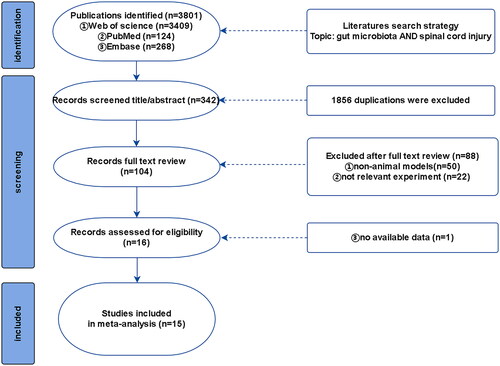 Figure 1. Flow diagram of literature search.