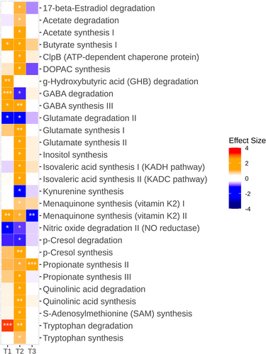 Figure 6. Alterations in predicted gut microbiota functions related to the gut-brain axis in α-Gal A (-/0) mice. Heatmap showing the differential abundance of significantly altered neuroactive gut-brain modules between α-Gal A (-/0) mice and α-Gal A (+/0) controls at each age (at 8–10-week-old (T1), 16–20-week-olg (T2), and 12-month-old (T3) (n = 10 each group)). Stars indicate Benjamini-Hochberg-adjusted p-values (*padj < 0.1, **padj < .01, ***padj < .001). Colors of the cells indicate the effect size (β); red hues indicate higher levels in α-Gal A (-/0) mice, whereas blue hues indicate higher levels in α-Gal A (+/0) controls.