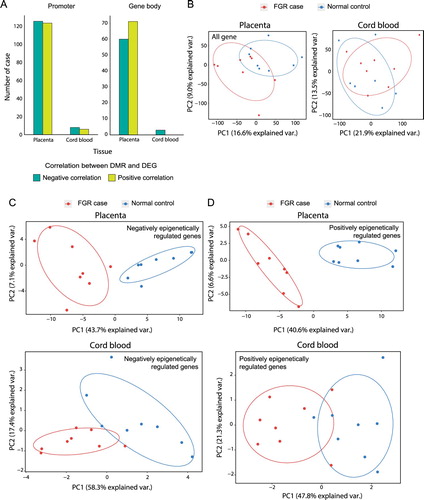 Figure 2. Transcriptional perturbations associated with epigenetic dysregulation in placentae and cord blood of FGR samples. (A) The ratio of differentially expressed genes (DEGs) from genes with differentially methylated region (DMRs) on their relevant promoters and gene bodies. The ratio was calculated based on negative and positive correlations between DEGs and DMRs. (B) Principle component analysis (PCA) with expression variables were performed for all genes found in placentae (left) and cord blood (right).PCA was also performed forDEGswith DMRs that correlated negatively (C) or positively (D) with each other.