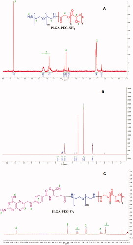 Figure 3. 1H NMR spectrum of PLGA-PEG (A) and PLGA-PEG-FA (B & C) conjugates in DMSO. 3 C shows the enlarged area of 5.4–12.0 ppm with characteristic peaks of FA of the conjugate PLGA-PEG-FA.