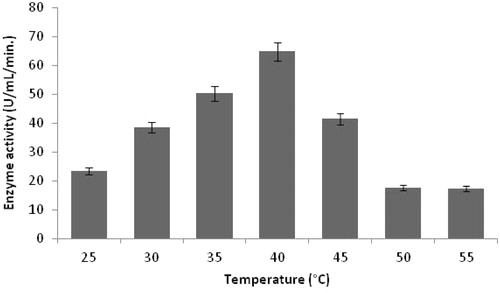 Figure 5. Effect of temperature on protease production (experimental conditions: incubation time 18 h, inoculum size 1%, lactose as carbon source, yeast extract as nitrogen source, pH 11.0).