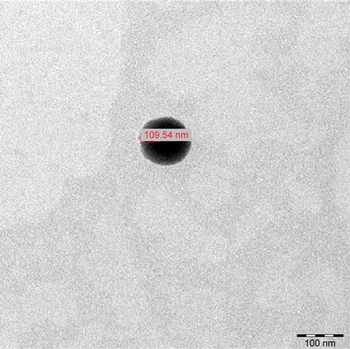 Figure 6 TEM micrograph and measurement of a single niosome (N3) at a magnification of 25,000×.Abbreviation: TEM, transmission electron microscope.