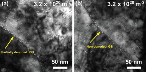 Figure 4. Bright-field underfocus TEM micrographs showing (a) the partially denuded and (b) the non-denuded grain boundaries at a fluence of 3.2 × 1020 ions m−2.