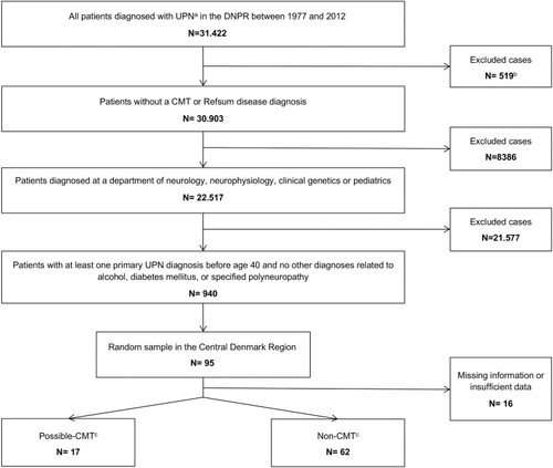 Figure 1 Flowchart of the selection process and review of the medical records.