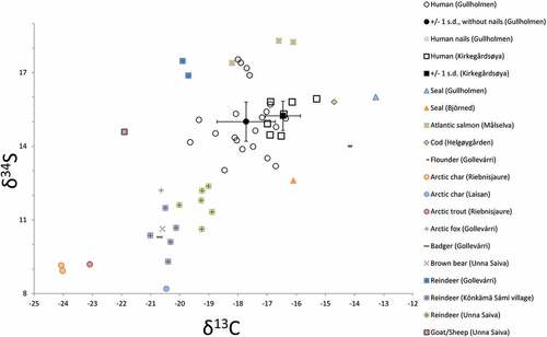 Fig. 3. Carbon and sulphur isotope values for human individuals from Gullholmen and Kirkegårdsøya as well as animal samples from Gollevárri (this study) and previously published faunal data (Linderholm et al. Citation2008, Fjellström Citation2011, Salmi et al. Citation2015, Dury et al. Citation2018).