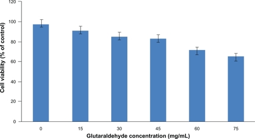 Figure 3 The cytotoxicity of the blank nanoparticles crosslinked with a series of glutaraldehyde concentrations was studied by incubating HUVECs for 96 hours with the nanoparticles. Percent cell viability over initial number of HUVECs treated with nanoparticles for up to 96 hours is shown. MTS assay was used to determine the cell viability after exposure to the nanoparticles. Nanoparticles without glutaraldehyde coating showed a cell viability of above 90% after 96 hours. Increasing the amount of glutaraldehyde in the particle preparation increased the cytotoxicity of the nanoparticles to the seeded HUVECs.Abbreviation: HUVECs, human vascular enthothelial cells.