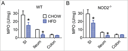 Figure 1. High-fat feeding reduces aspects of gut immunity in mice. Quantification of neutrophil myeloperoxidase (MPO) levels in small intestine, ileum, and colon gut segments of WT (A) and NOD2-null (B) 16-week chow- and HFD-fed mice. For all groups, n = 5. * indicates P <0.05.