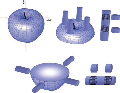 Figure 2 Preparation of samples for texture analysis. (Figure provided in color online.)