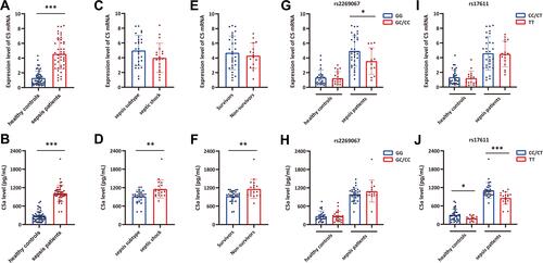 Figure 2 The influence of C5 genetic polymorphisms on C5 gene expression and C5a production in sepsis patients and healthy controls. (A and B) The C5 gene expression and C5a production levels in sepsis patients and healthy controls; (C and D) the C5 gene expression and C5a production levels in sepsis subtype and septic shock subgroups; (E and F) the C5 gene expression and C5a production levels in survivor and non-survivor subgroups; (G and H) the distribution of C5 and C5a expression in individuals with different rs2269067 genotypes; (I and J) the distribution of C5 and C5a expression in individuals with different rs17611 genotypes. Values of relative expression levels are shown as mean ± SD; *P<0.05, **P<0.01, ***P<0.001.