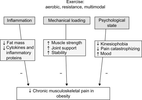 Figure 2 Effects of exercise on inflammation, mechanical and psychological state on musculoskeletal pain in obesity
