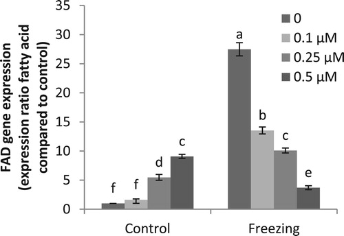 Figure 1. Effects of exogenous application of melatonin on expression of fatty acid desaturase (FAD2) gene in pistachio seedlings exposed to freezing stress. Different letters indicate significant differences according to LSD tests (p < 0.05).
