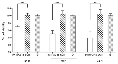 Figure 6. svtRNA2-1a overexpression reduces neuronal basal viability. Plot shows relative cell viability assessed with MTT assays at 24, 48 and 72 h after transfection of either svtRNA2-1a mimic or a scrambled miRNA mimic (SCR), using lipofectamine only (Ø) treated cells as negative control and reference. Data represent mean basal viability ± SEM [n = 6; (**, p < 0.01, ***, p < 0.001 using t-test)].