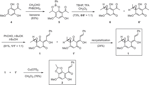 Scheme 2. Synthesis of (±)-1 and 2.