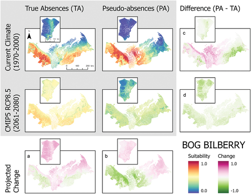 Figure 5. Ensemble habitat suitability maps (gray box) for bog bilberry (Vaccinium uliginosum) projected under current and future climate conditions using true absence and pseudo-absence models. Banks Island is inset over the mainland portion of the study area for enhanced visualization. Plots (A)–(D) correspond to differences between climate projections and data types along the columns and rows.