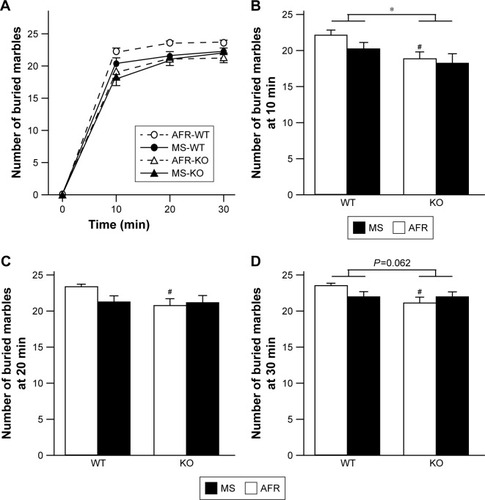 Figure 4 Rearing condition and genotype affected perseverative behaviors.