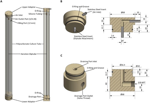 Figure 3. Construction of the large volume growth vessels. A, Each growth vessel consists of a polycarbonate tube with two end-piece adaptors held in place by the friction of O-rings; B, upper end-piece adaptor has press-fitted stainless steel inserts for the aeration system; C, lower end piece contains a right angle drainage port. All dimensions given are in mm unless otherwise noted.