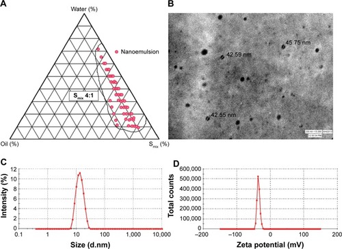 Figure 1 Nanoemulsion region in pseudoternary plot and characterization parameters of optimized nanoemulsion CR-NE4.Notes: (A) Pseudo-ternary phase diagram at Smix 4:1; (B) TEM photomicrograph; (C) droplet size distribution analysis; (D) zeta potential graph.Abbreviations: CR-NE, curcumin nanoemulsion; TEM, transmission electron microscopy; Smix, surfactant:cosurfactant.