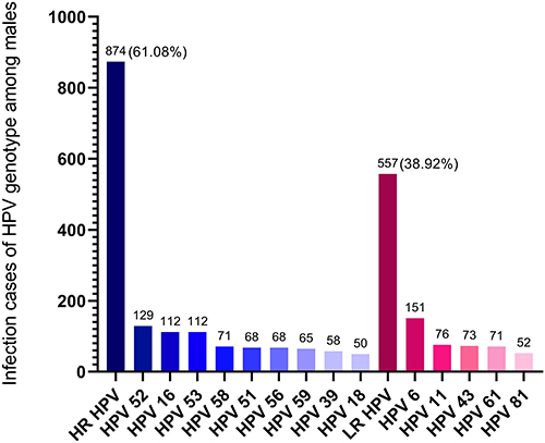 Figure 4 Infection cases of the most common HPV genotype of males (Infection rate: HR HPV vs LR HPV, P<0.001).