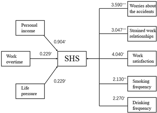 Figure 2 An influencing model of SHS (sub-optimal health status).