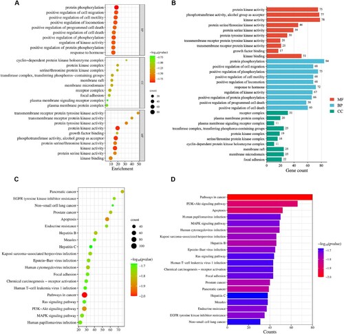 Figure 4. Gene ontology (GO) functional and Kyoto Encyclopedia of Genes and Genomes (KEGG) pathway enrichment. (A) GO functional enrichment bubble diagram; (B) GO functional enrichment bar chart; (C) KEGG pathway enrichment bubble diagram; (D) KEGG pathway enrichment bar chart.