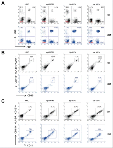 Figure 4. JQ1 prevents the decrease of CD8+ T-lymphocytes and the increase of granulocytic-/monocytic-derived myeloid derived suppressor cells induced by MPM cells. (A) Representative dot plots of CD3+ CD8+ T-lymphocytes, isolated from PBMC after 6-days co-culture with HMC or MPM cells (epi: epithelioid; bip: biphasic; sar: sarcomatoid), in medium containing DMSO (ctrl) or 250 nM JQ1, as per flow cytometry. (B) Representative dot plots of Gr-MDSC, isolated from HLA-DR− CD14− CD11b+ PBMC co-cultured as in (A). To identify Gr-MDSC, first HLA-DR− CD11b+ cells were gated (R1), then CD14− CD11b+ cells (R2 on R1, not shown). This cell population was used to identify CD11b+ CD15+ cells. Gating of CD11b+ CD15+ is shown. (C) Representative dot plots of Mo-MDSC, isolated from HLA-DR− CD15low CD11b+ PBMC co-cultured as in (A). Specifically to identify Mo-MDSC, first HLA-DR− CD11b+ cells (R1) were gated, then CD15low CD11b+ cells (R2 on R1, not shown). This cell population was used to identify CD11b+ CD14+ cells. Gating of CD11b+ CD14+ cells is shown.