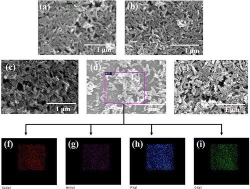 Figure 3 Field emission scanning electron microscopy (FE-SEM) images of the (a) pure nHAP, (b) nHAPMn1, (c) nHAPMn3, (d) nHAPMn5, and (e) nHAPMn10 samples and (f–i) EDX mapping of nHAPMn5.